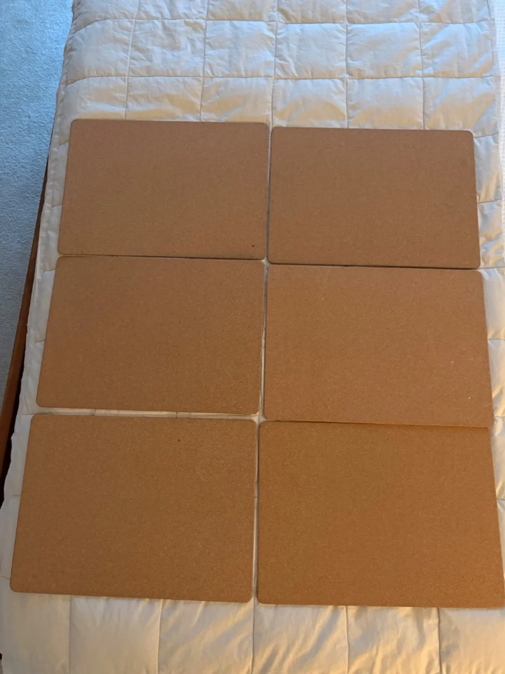 Cork Placemats Pineapple Set of 6 White Gray Gold